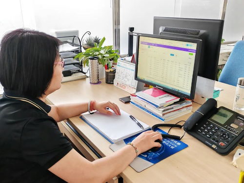 順義區為高校畢業生提供無縫銜接式就業服務，計算機信息技術咨詢助力精準就業