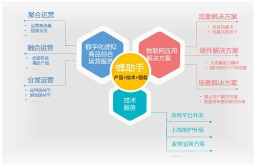 蜂助手沖刺上市 上半年收入達(dá)2.11億元，物聯(lián)網(wǎng)技術(shù)服務(wù)驅(qū)動(dòng)增長(zhǎng)