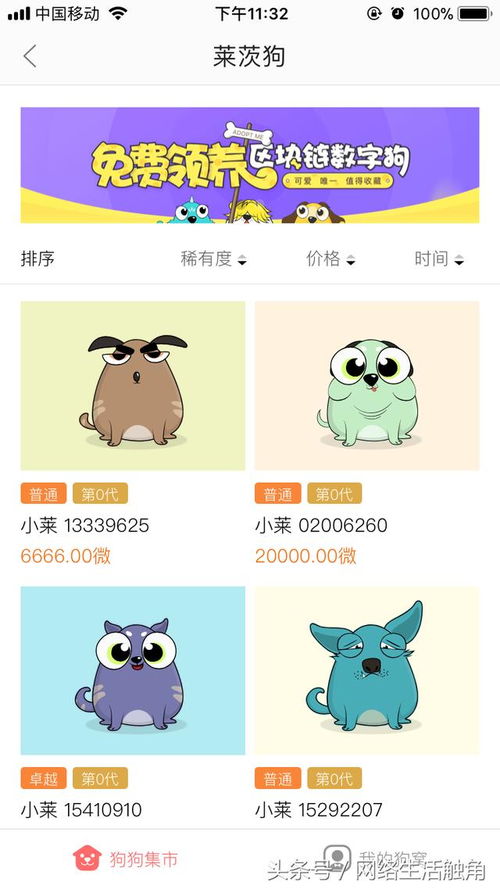軟件先行，硬件奠基 我的區塊鏈產品參與策略